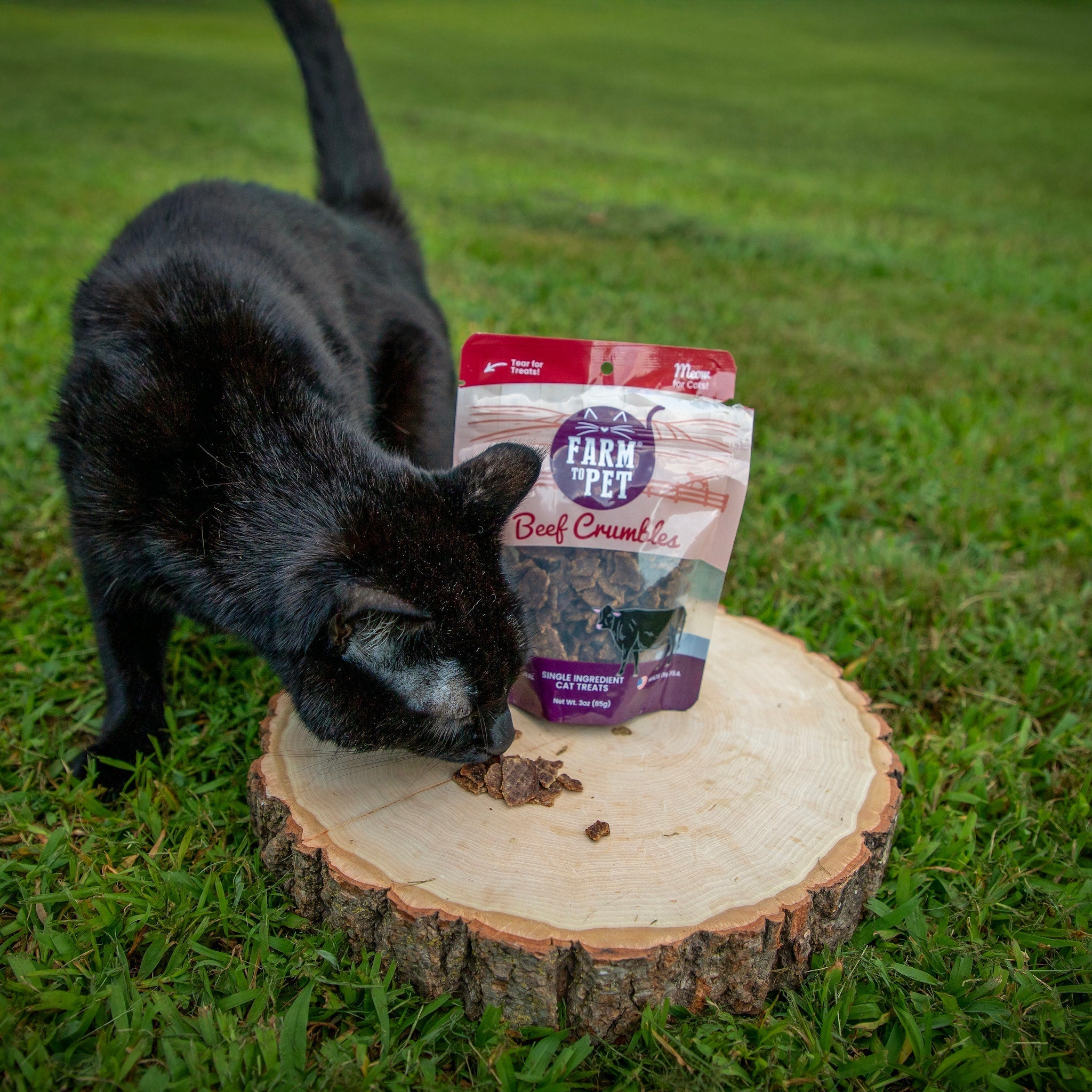 Cat Treats