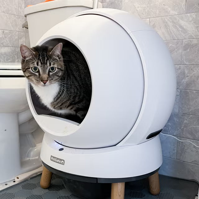 Litter Box & Supplies