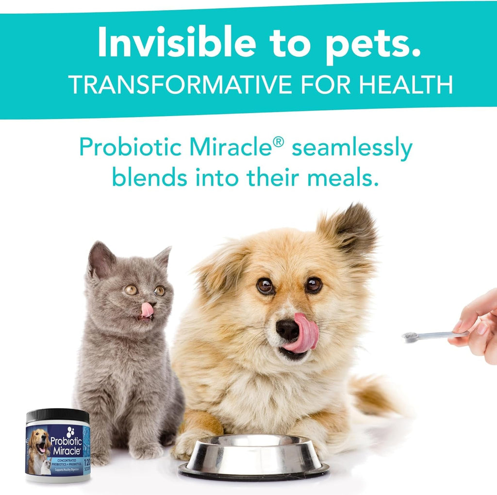 Dog Probiotics Powder | Digestive Enzyme & Immune Support, 360 Scoops – Wags & Whiskers