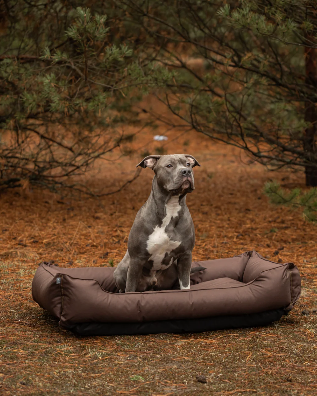 Chester & Lee | Waterproof Pet Sleeper Bed in Brown