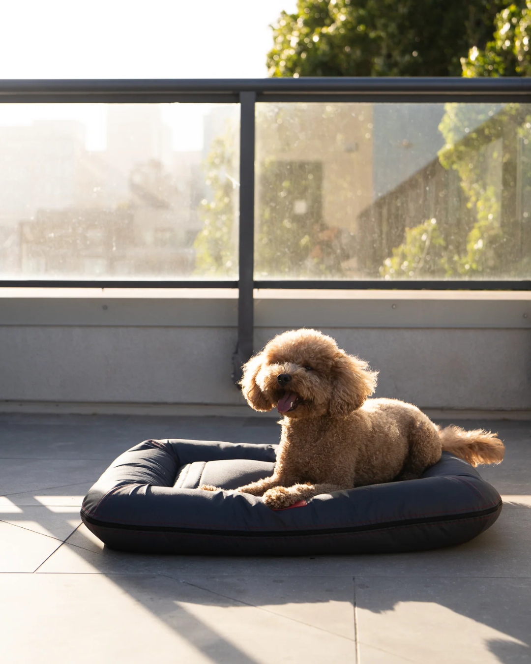 Chester & Lee | Waterproof Lounger Pet Bed in Gray