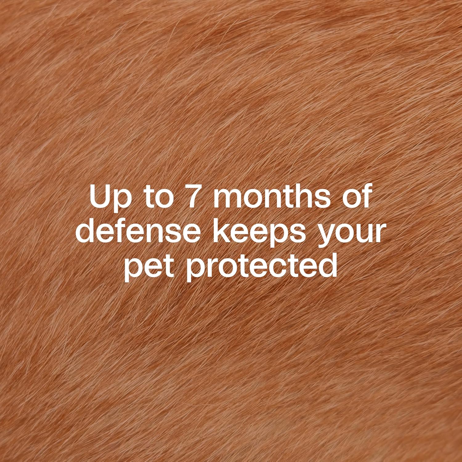 Adams Plus Flea Tick Collar for large Dogs & Puppies