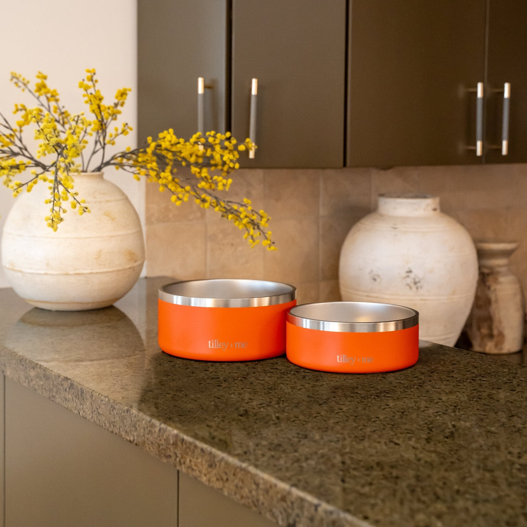 Tilley + Me Stainless Steel Pet Bowl, Dishwasher Safe | 32oz and 64oz