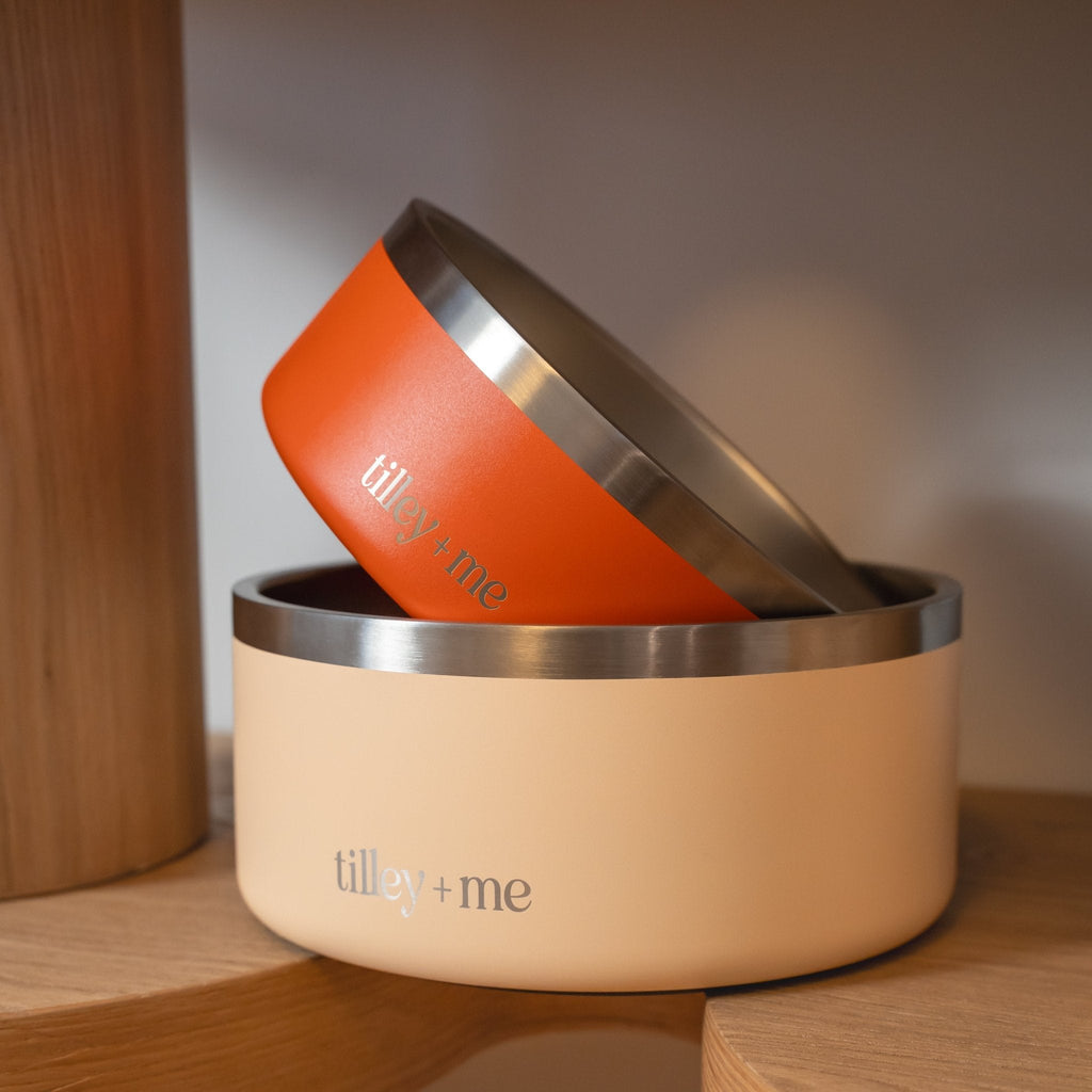 Tilley + Me Stainless Steel Pet Bowl, Dishwasher Safe | 32oz and 64oz