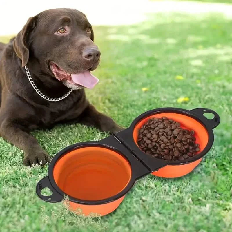2-in-1 Collapsible Double Bowl