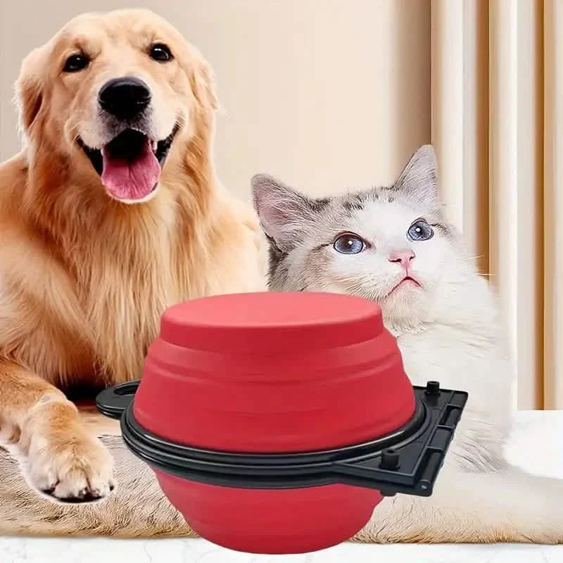 2-in-1 Collapsible Double Bowl