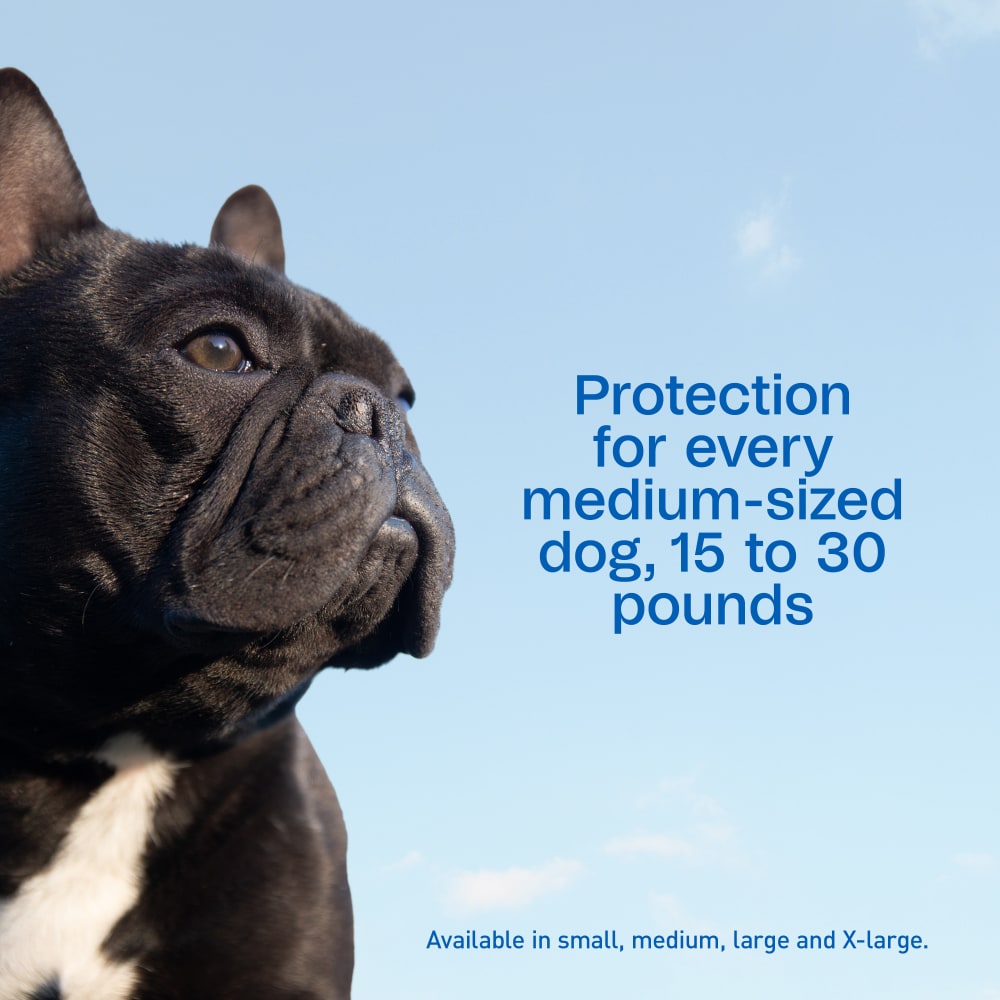 Adams Plus Flea & Tick Spot On 3 Doses 30 Day Control for XLarge Dogs 61-150lbs