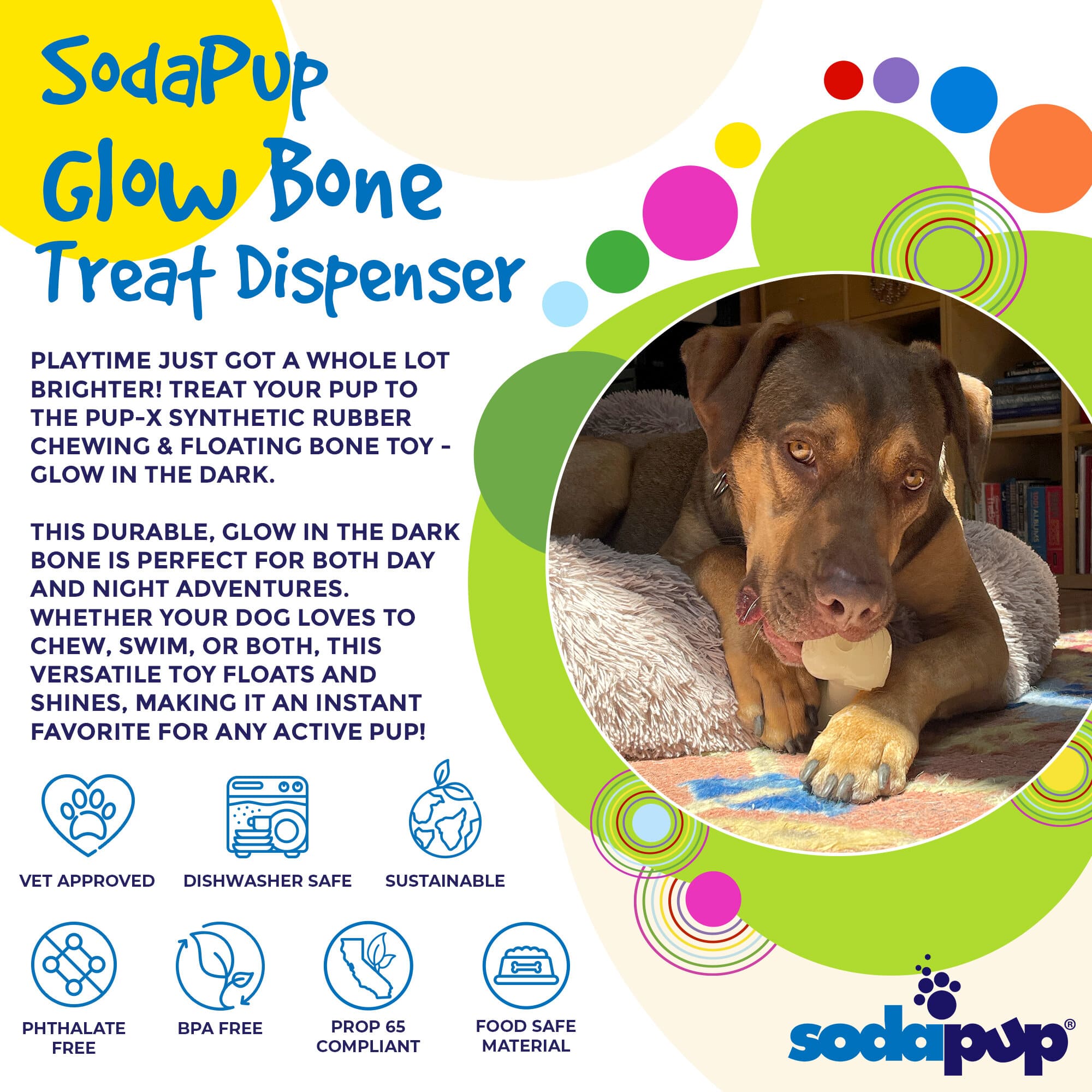 PUP-X Rubber Bone Dog Toy | American made