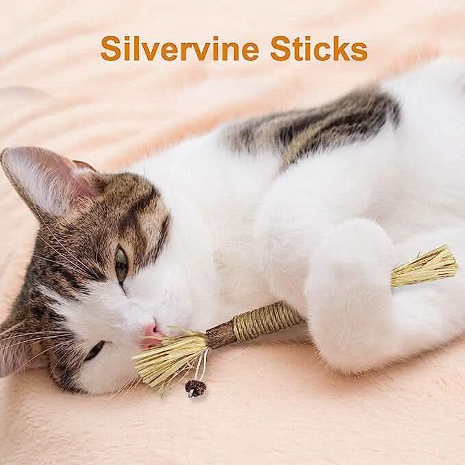 3-Pack: Silvervine Sticks Toys