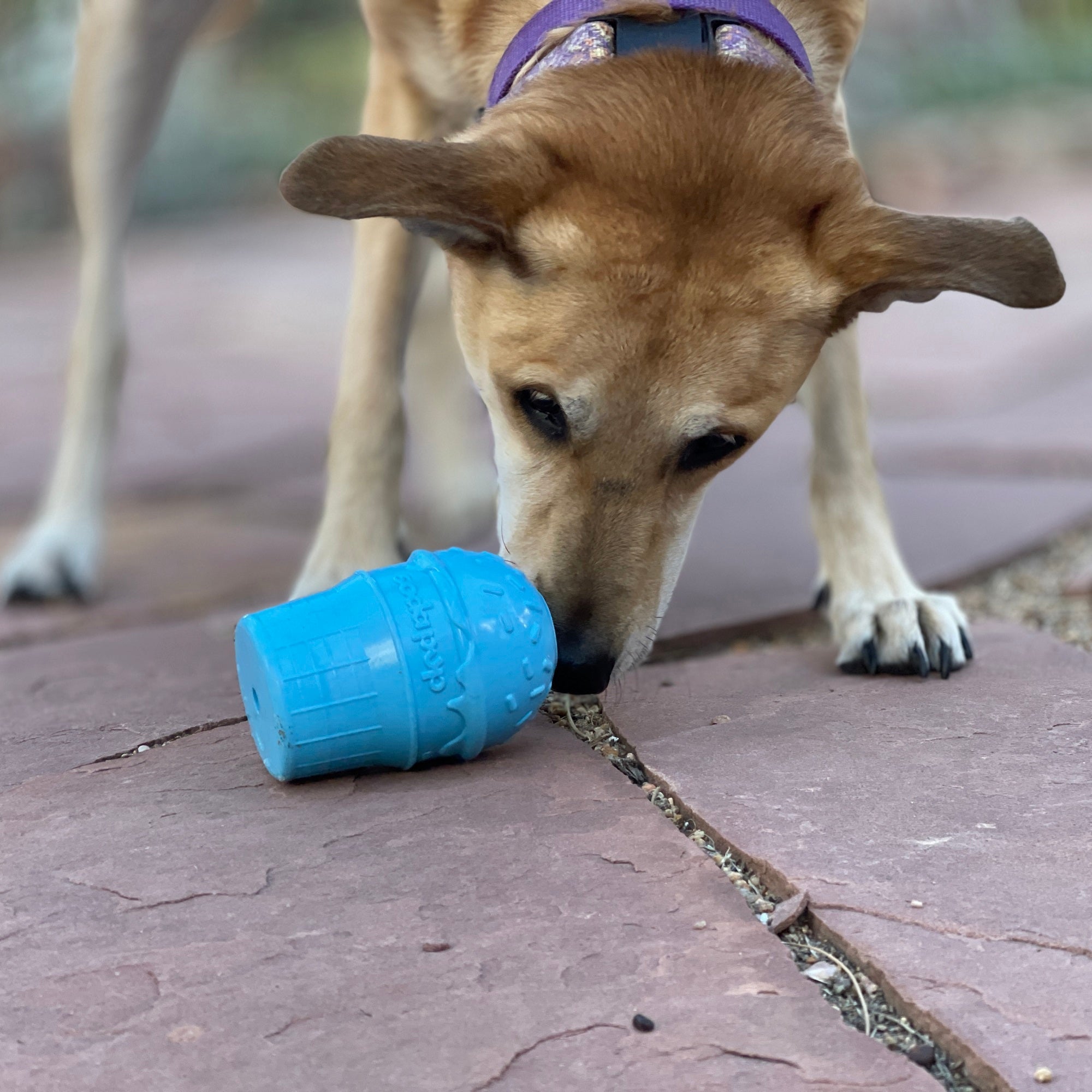 Ice Cream Cone Rubber Chew for Power Chewers | American made