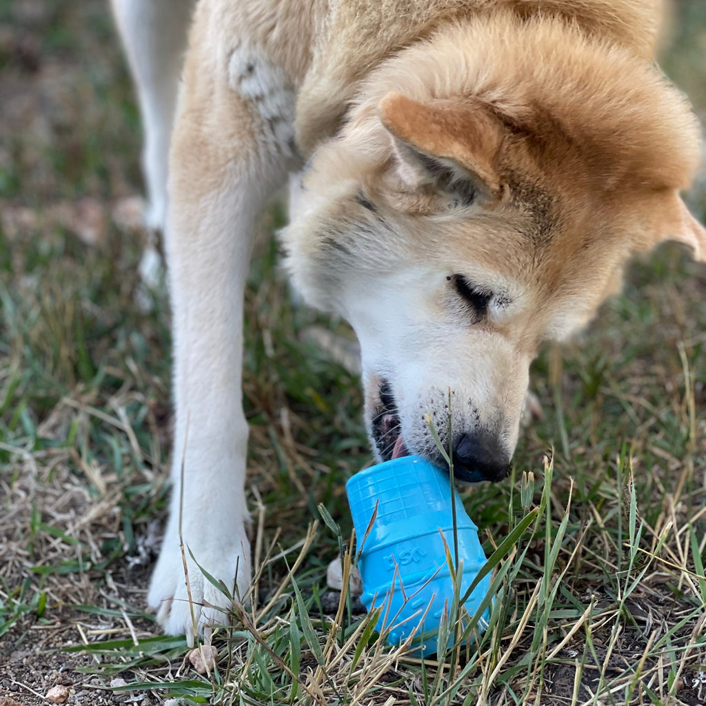 Ice Cream Cone Rubber Chew for Power Chewers | American made