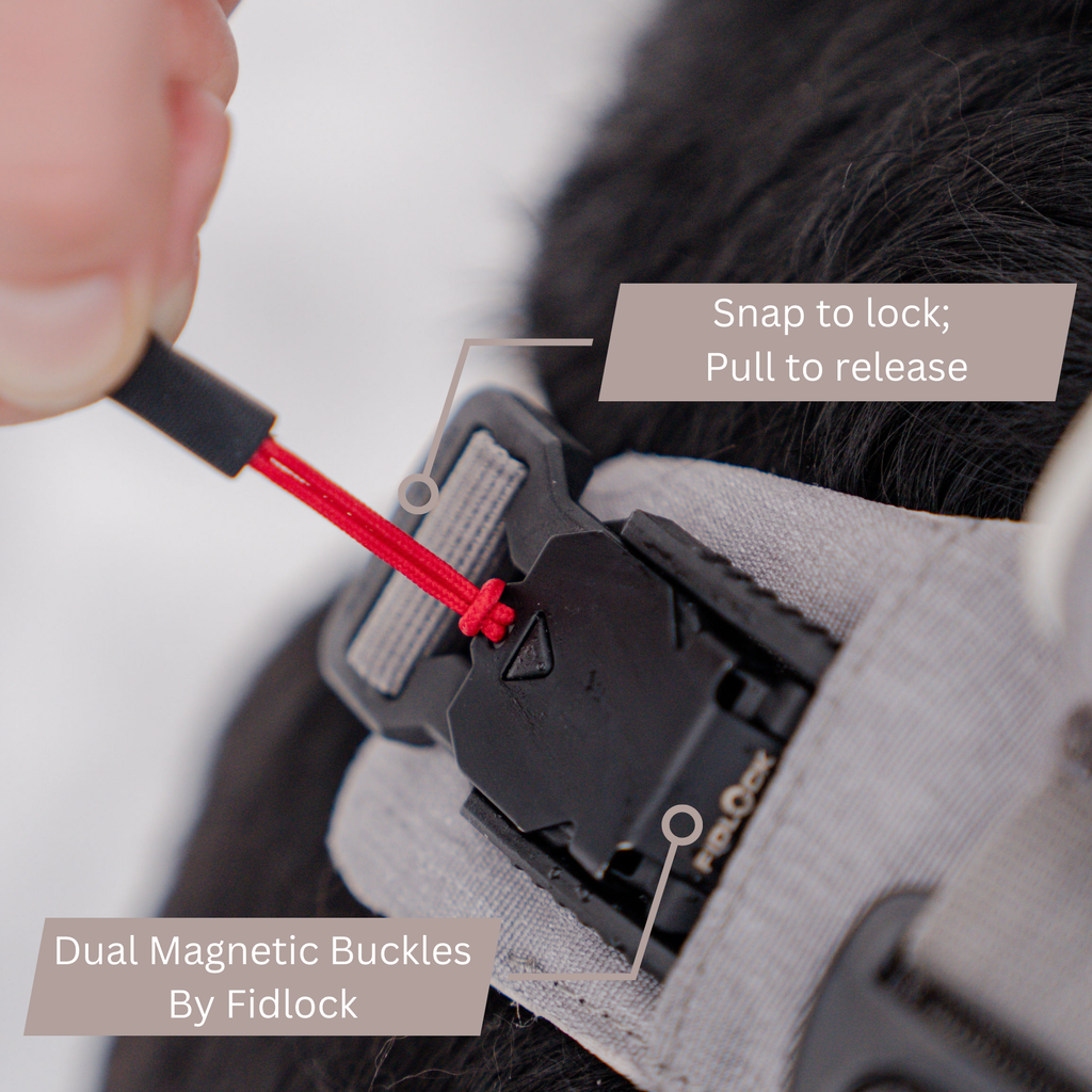 Magnetic Dog Harness - No-Pull Design
