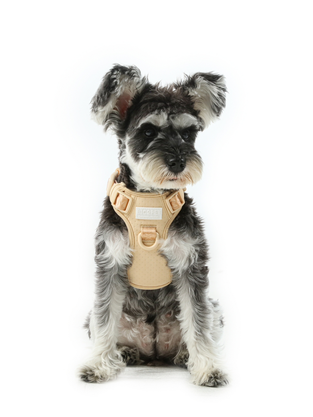 No pull active pet harness - APRICOT