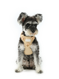 No pull active pet harness - APRICOT