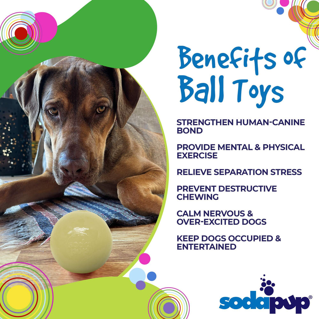Squeaky Ball | American made