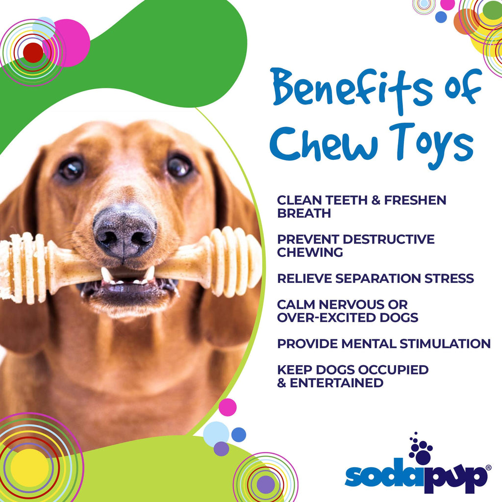 Honey Bone Nylon Dog Toy for Aggressive Chewers | American made