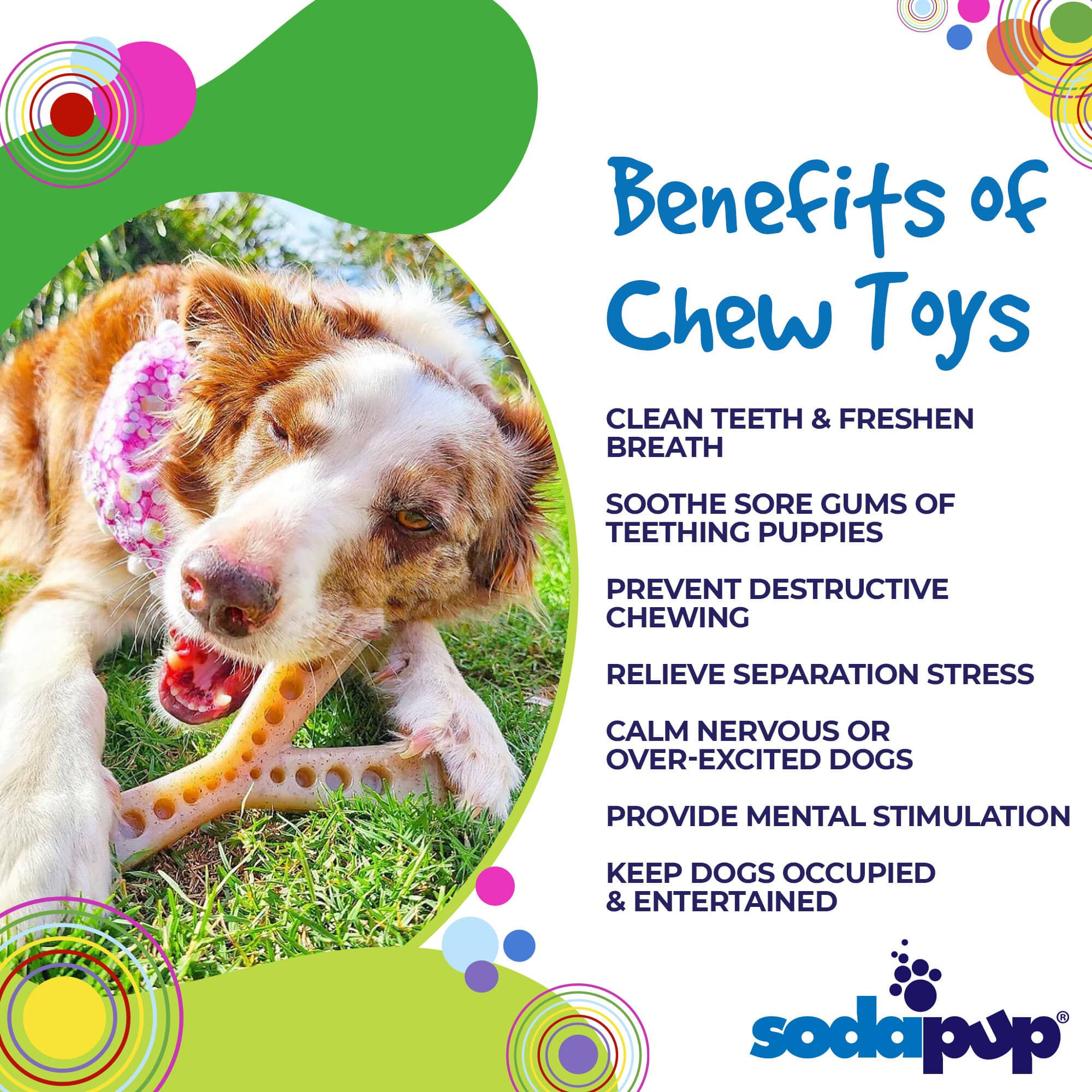 MOD Wishbone Nylon Chew Toy for Aggressive Chewers | American made