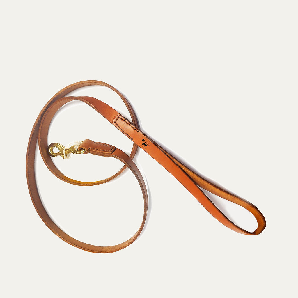 Leather Dog Leash