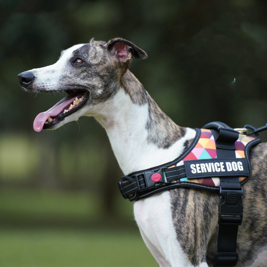 Reflective Night Safety Dog Vest | Camouflage Nylon Dog Jacket