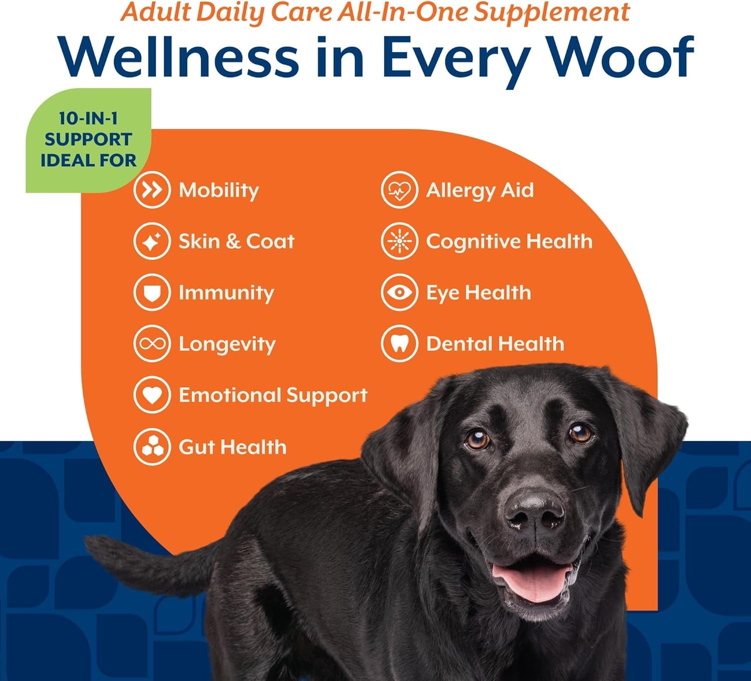Dog Multivitamin Soft Chews | 10-in-1 Joint, Skin & Immune Support, 60ct – Wags & Whiskers