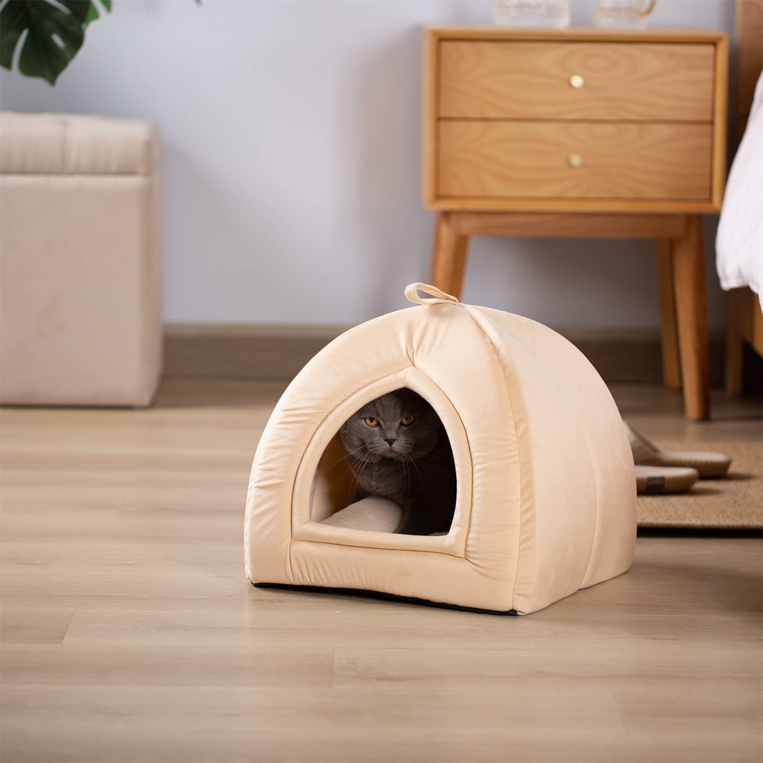 Kasentex Cat Bed