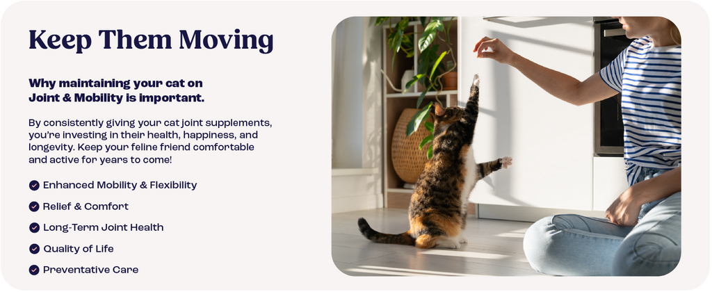 Cat Joint Supplement Chondroitin Mobility Support