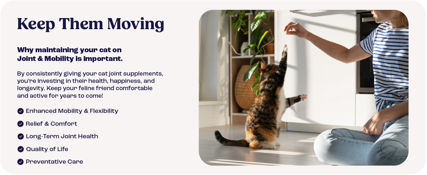 Cat Joint Supplement Chondroitin Mobility Support