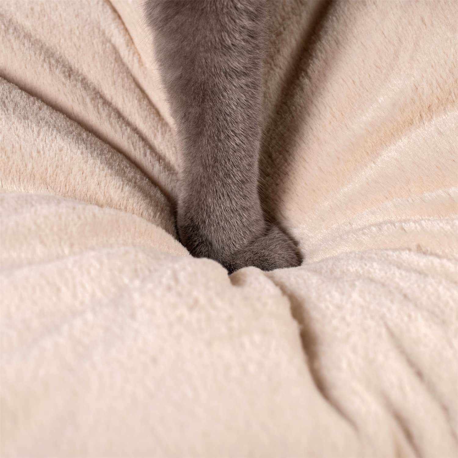 Kasentex Cat Bed