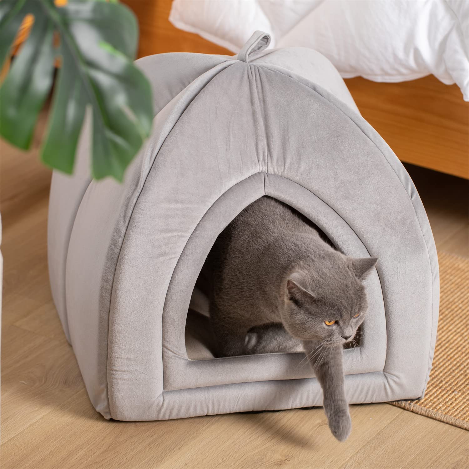 Kasentex Cat Bed