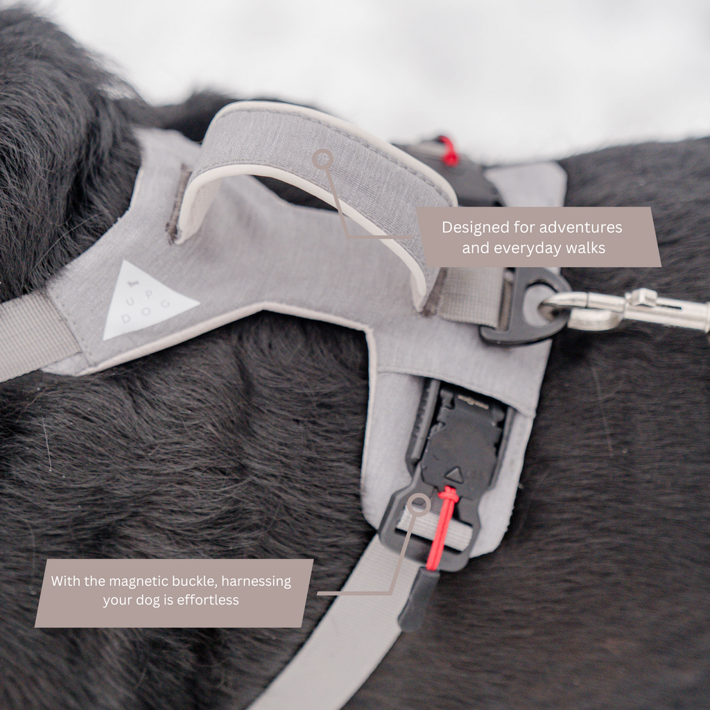 Magnetic Dog Harness - No-Pull Design