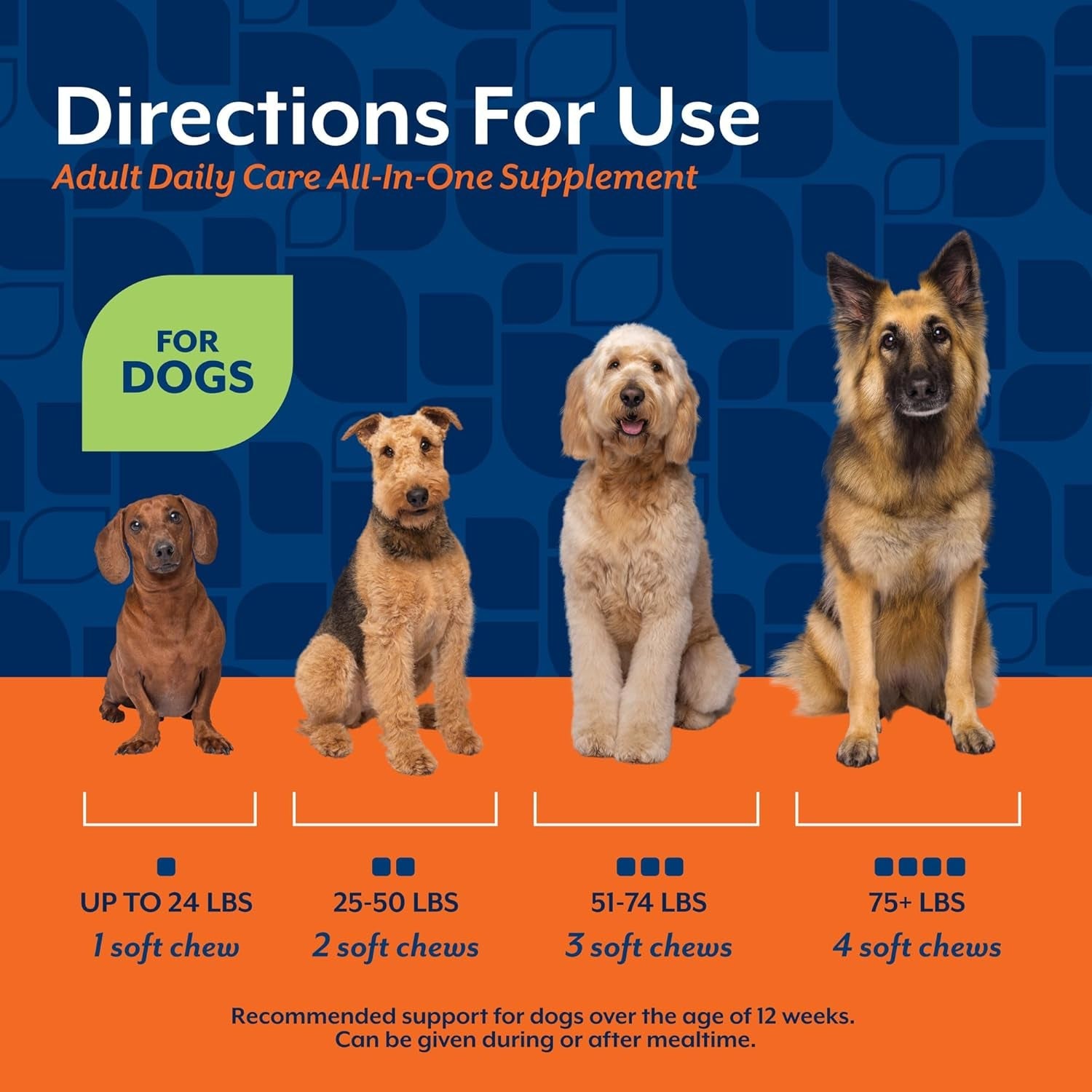 Dog Multivitamin Soft Chews | 10-in-1 Joint, Skin & Immune Support, 60ct – Wags & Whiskers
