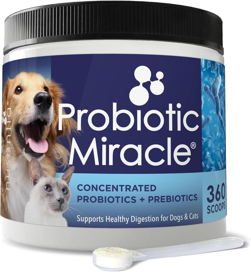 Dog Probiotics Powder | Digestive Enzyme & Immune Support, 360 Scoops – Wags & Whiskers