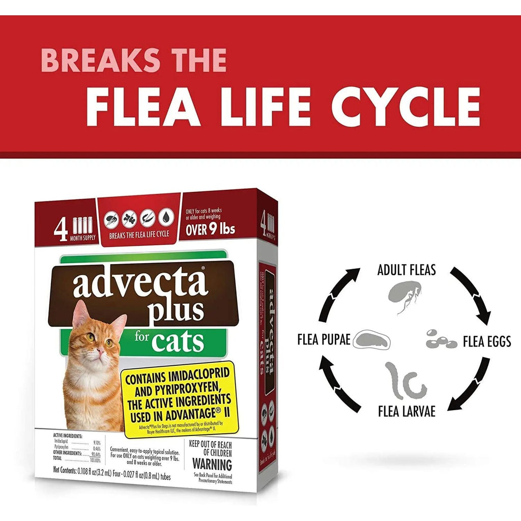 Advecta Plus Flea Protection Squeeze-On for Cats Over 9lbs 4CT