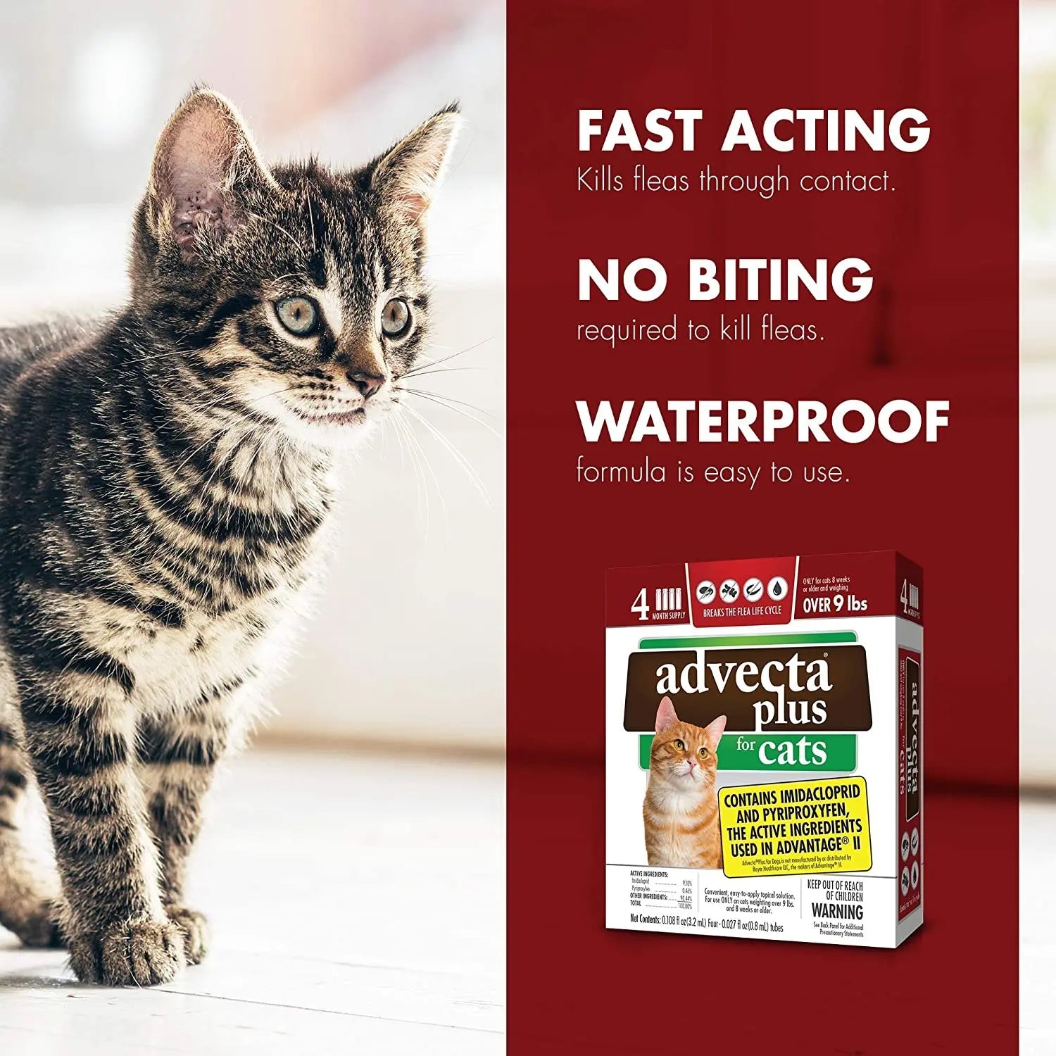 Advecta Plus Flea Protection Squeeze-On for Cats Over 9lbs 4CT