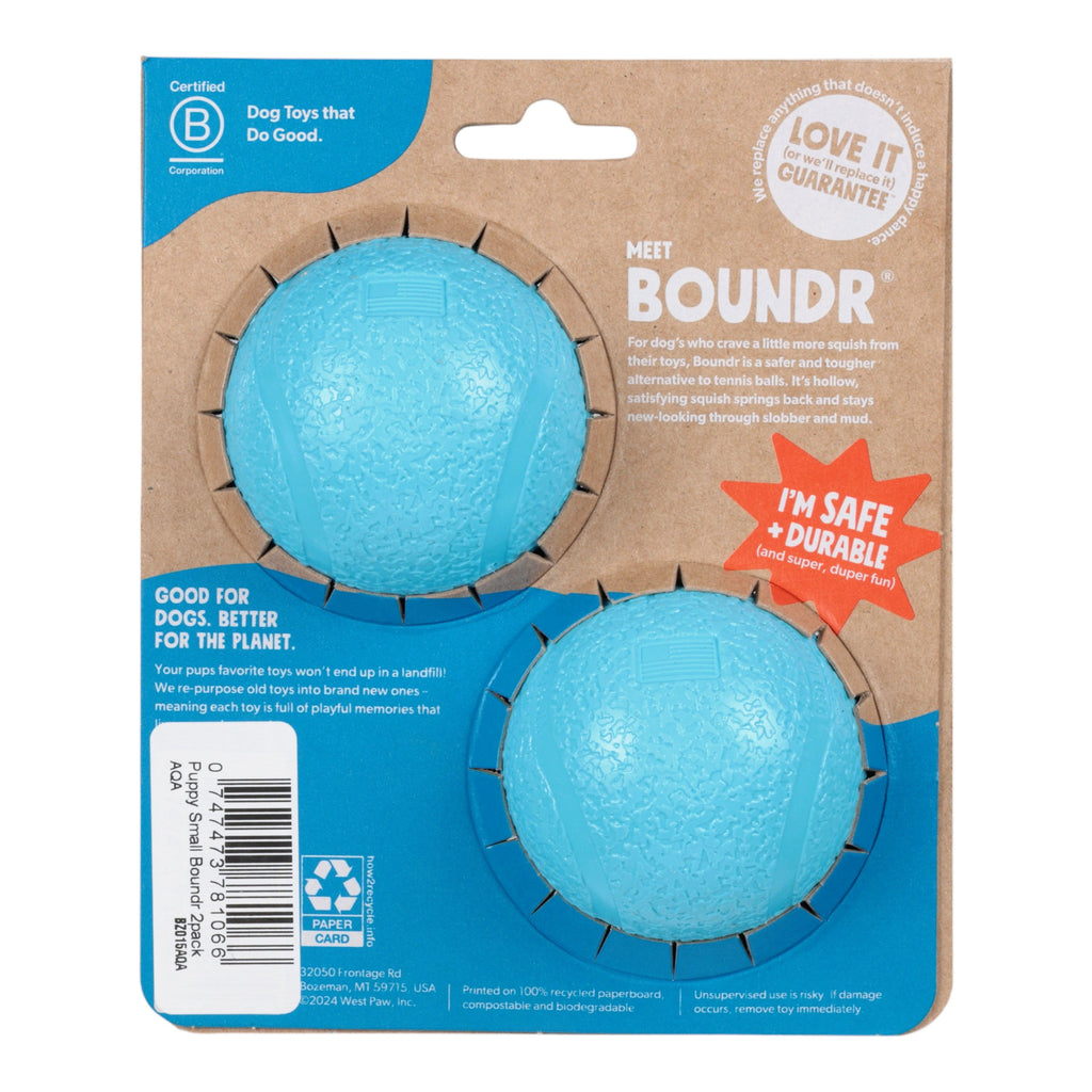 Boundr Small Dog Ball 2-Pack | Bouncy Fetch Toy, Aqua – West Paw