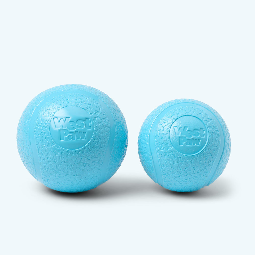 Boundr Dog Ball | Bouncy Fetch & Chew Toy for Active Dogs – West Paw