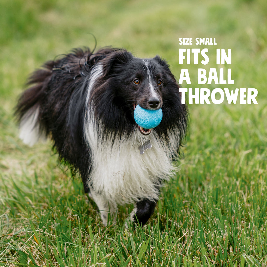 Boundr Dog Ball | Bouncy Fetch & Chew Toy for Active Dogs – West Paw
