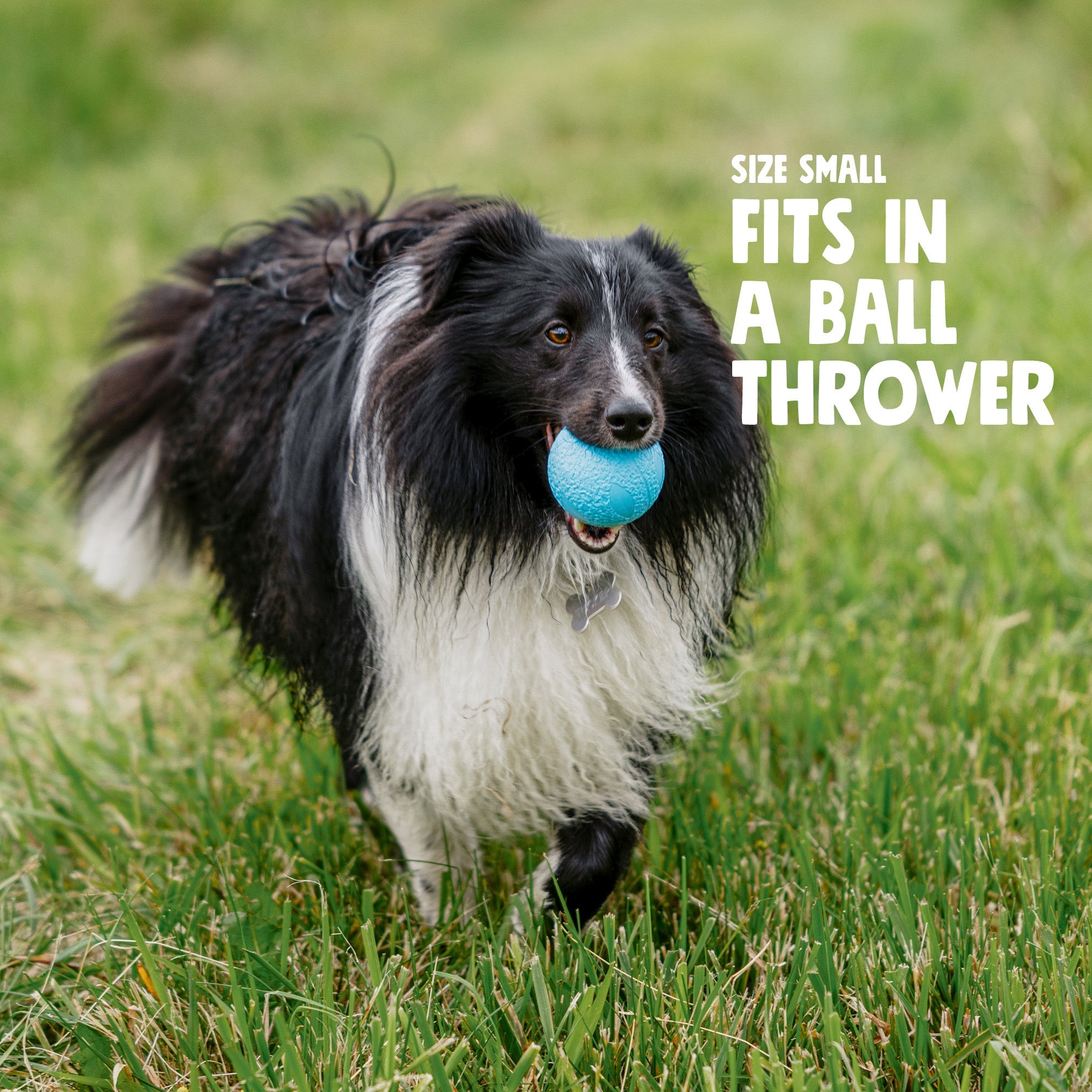 Boundr Dog Ball | Bouncy Fetch & Chew Toy for Active Dogs – West Paw