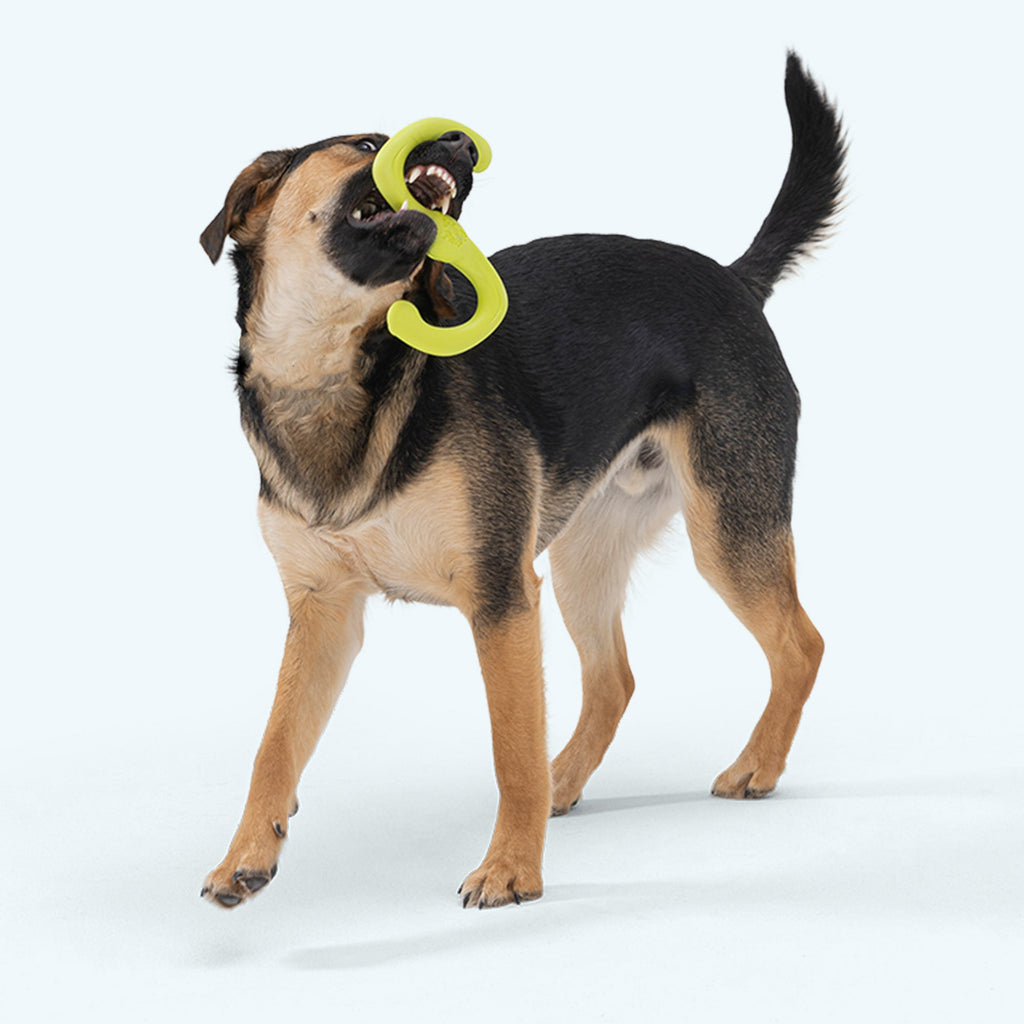 Bumi Dog Tug Toy | Durable S-Shaped Chew & Tug-of-War Toy – West Paw
