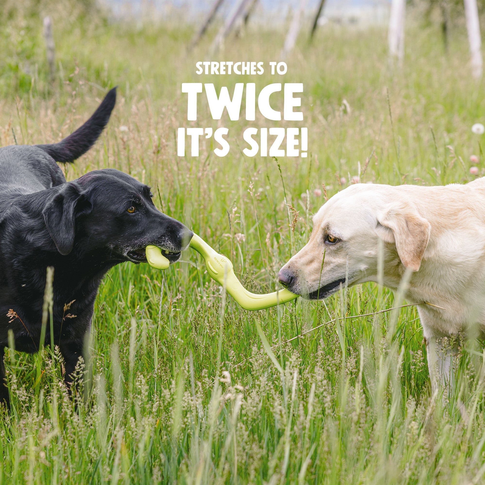 Bumi Dog Tug Toy | Durable S-Shaped Chew & Tug-of-War Toy – West Paw