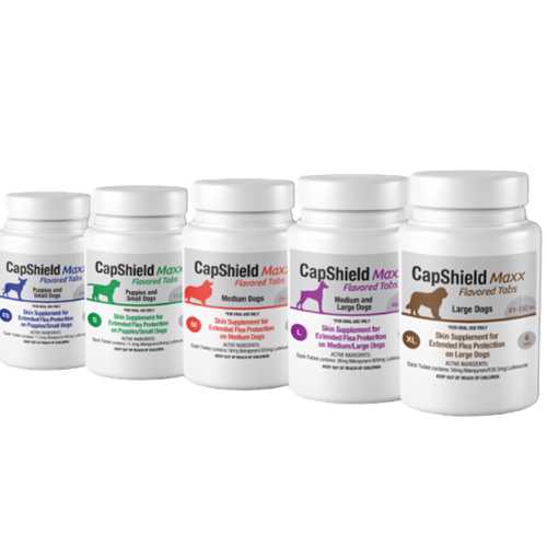 CapShield Maxx Flavored Flea Tabs for Dogs SM 11-25lbs, 6-Count
