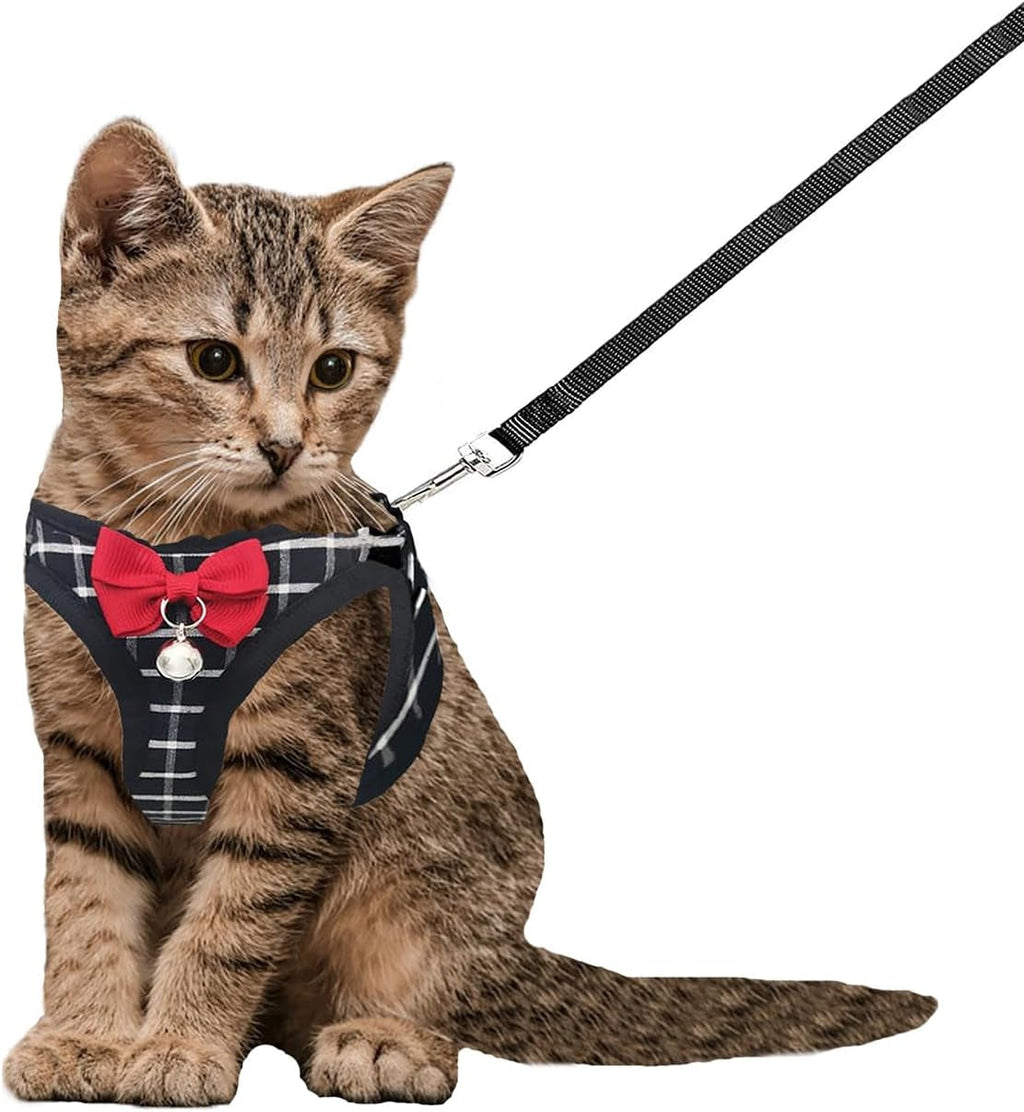 Cat Harness & Leash Set