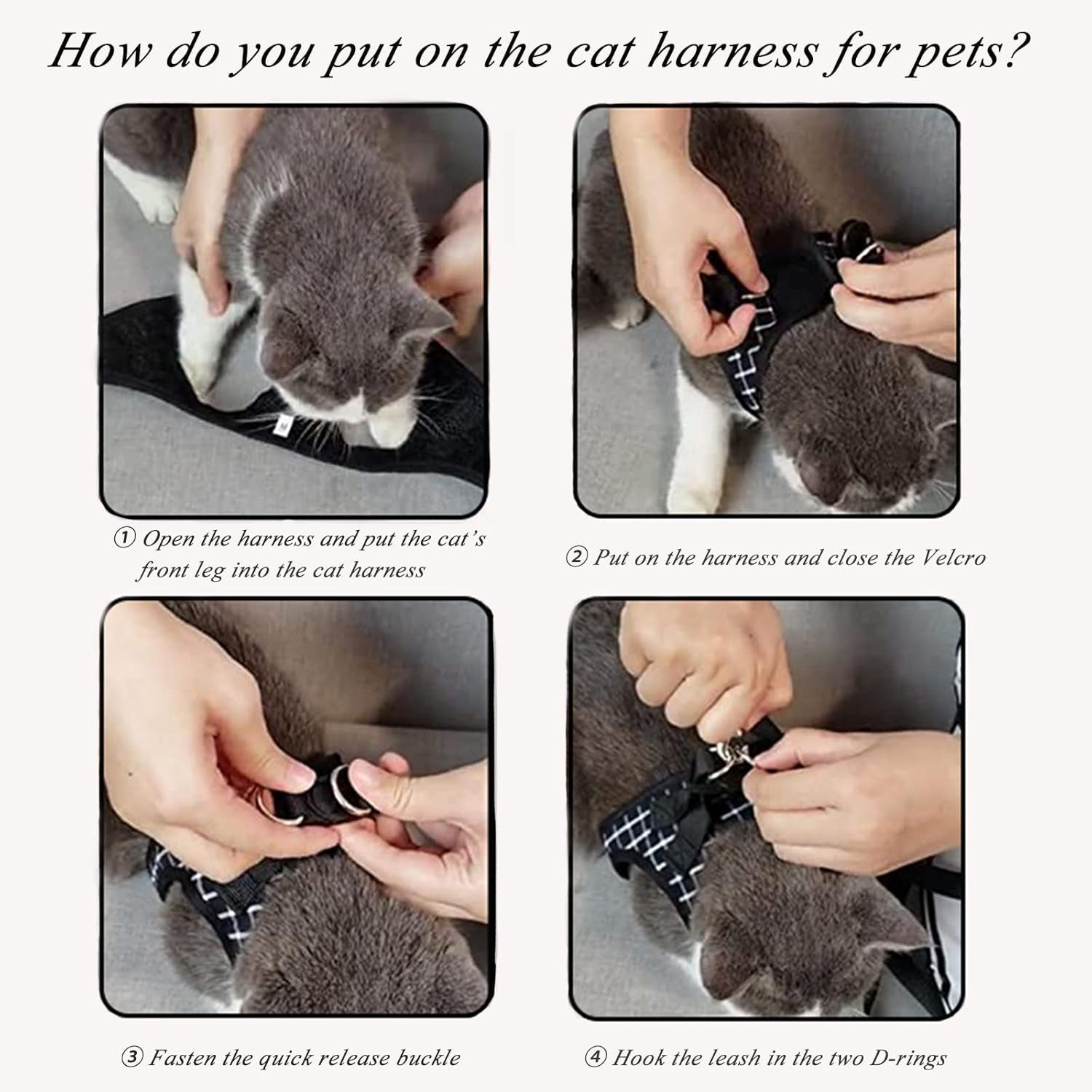 Cat Harness & Leash Set
