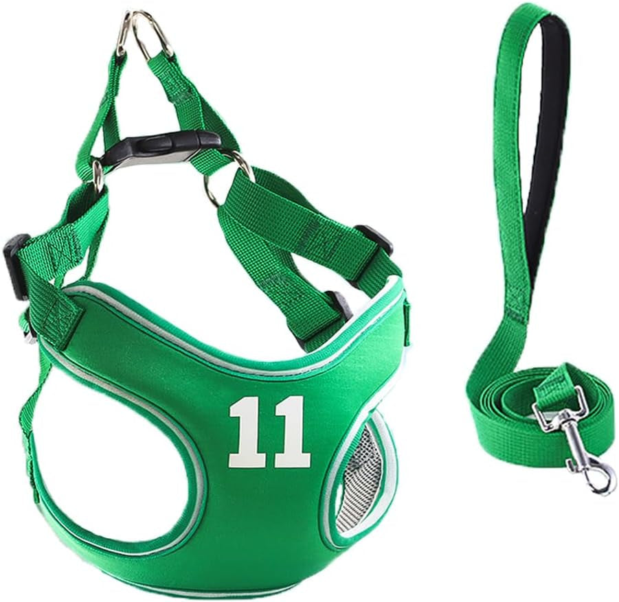 Cat Harness & Leash Set