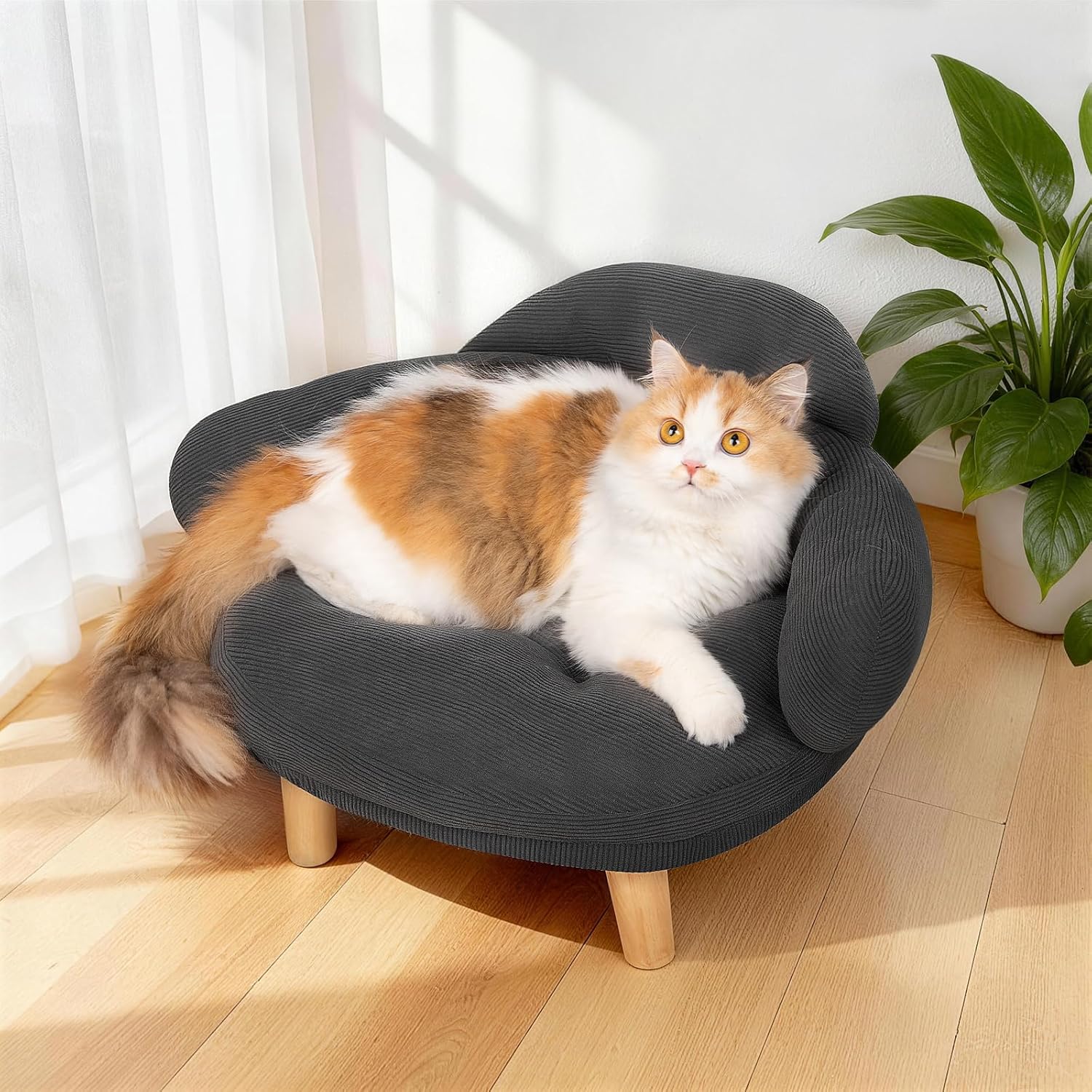Elevated Cat Sofa Bed