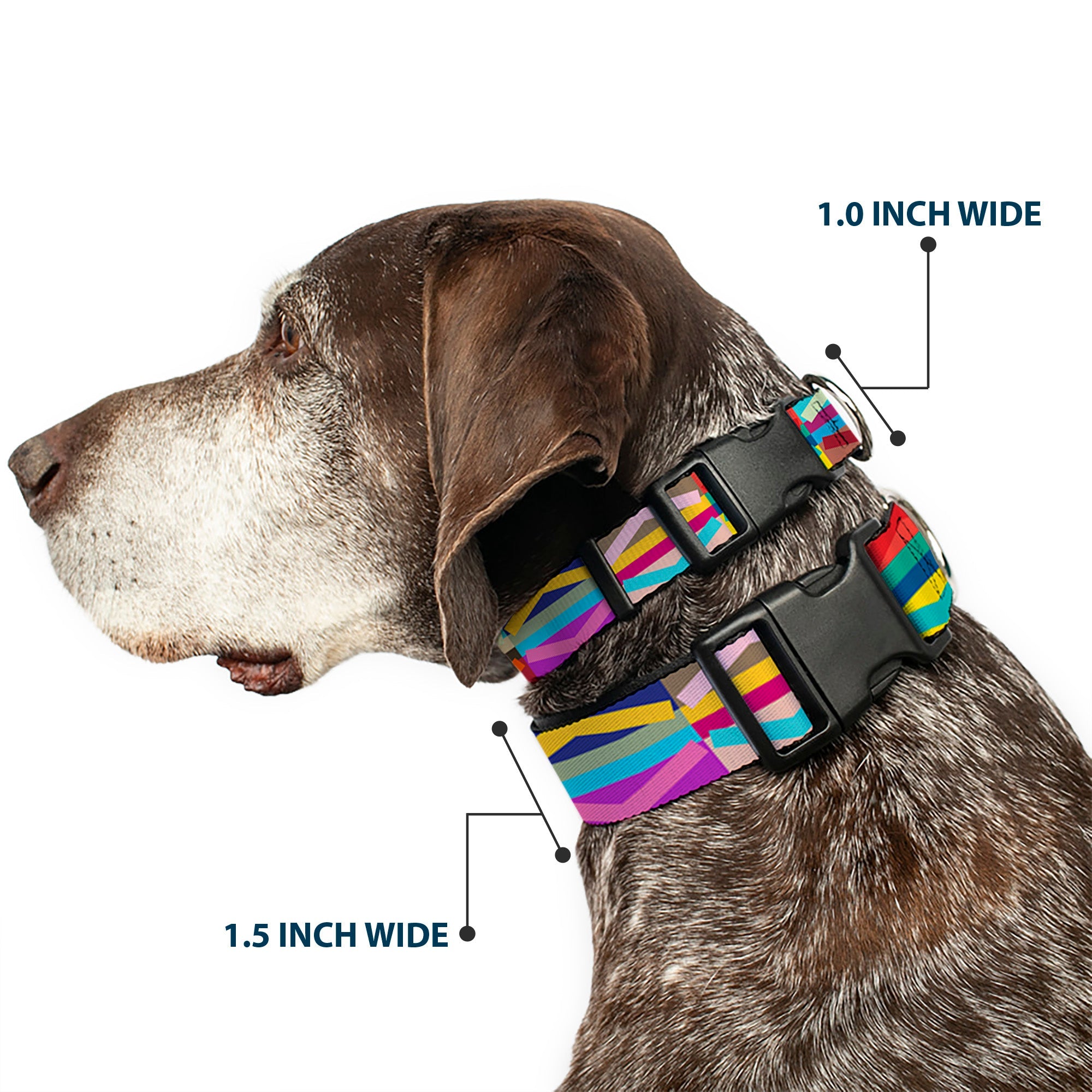Plastic Clip Collar - Geometric Multi Color