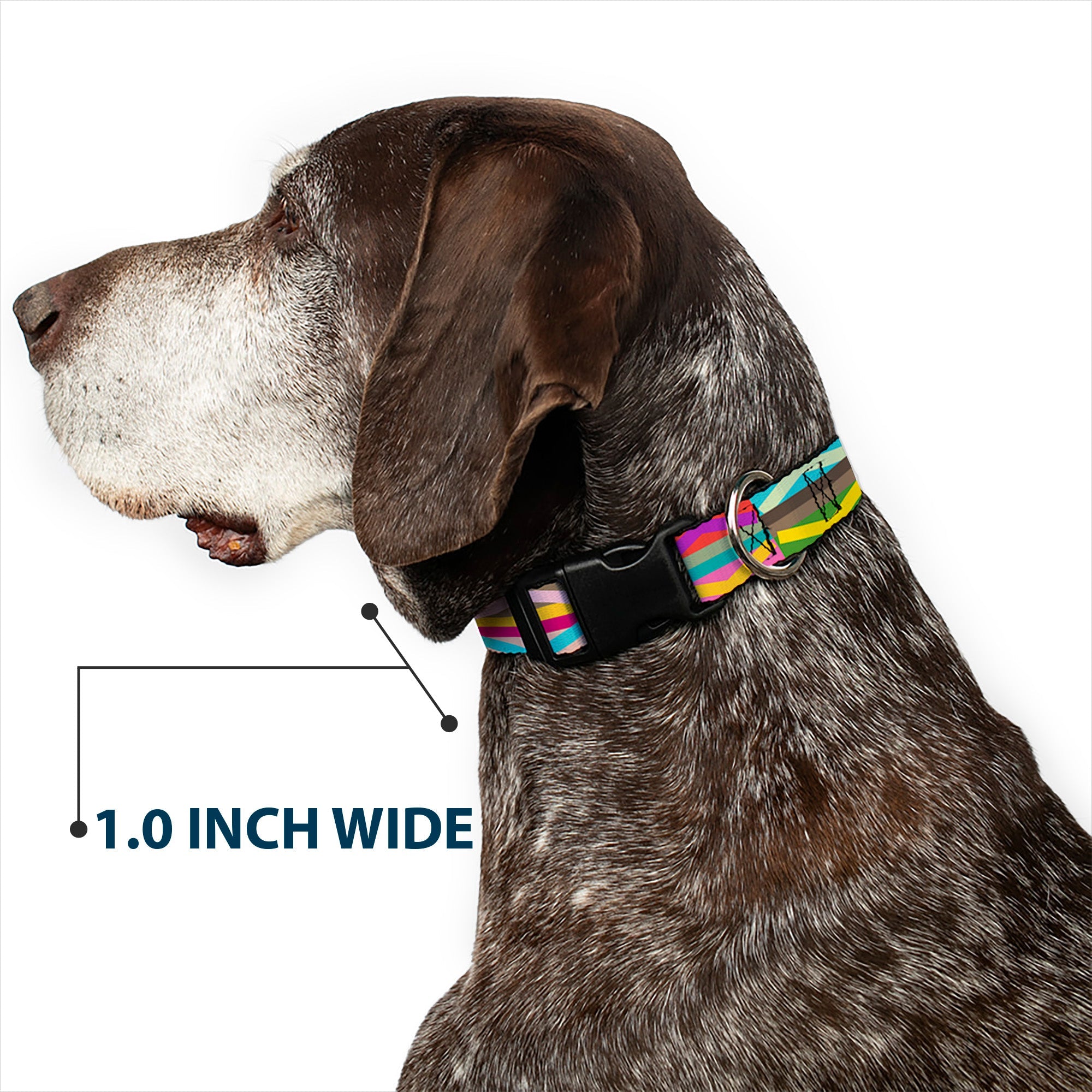 Plastic Clip Collar - Geometric Multi Color