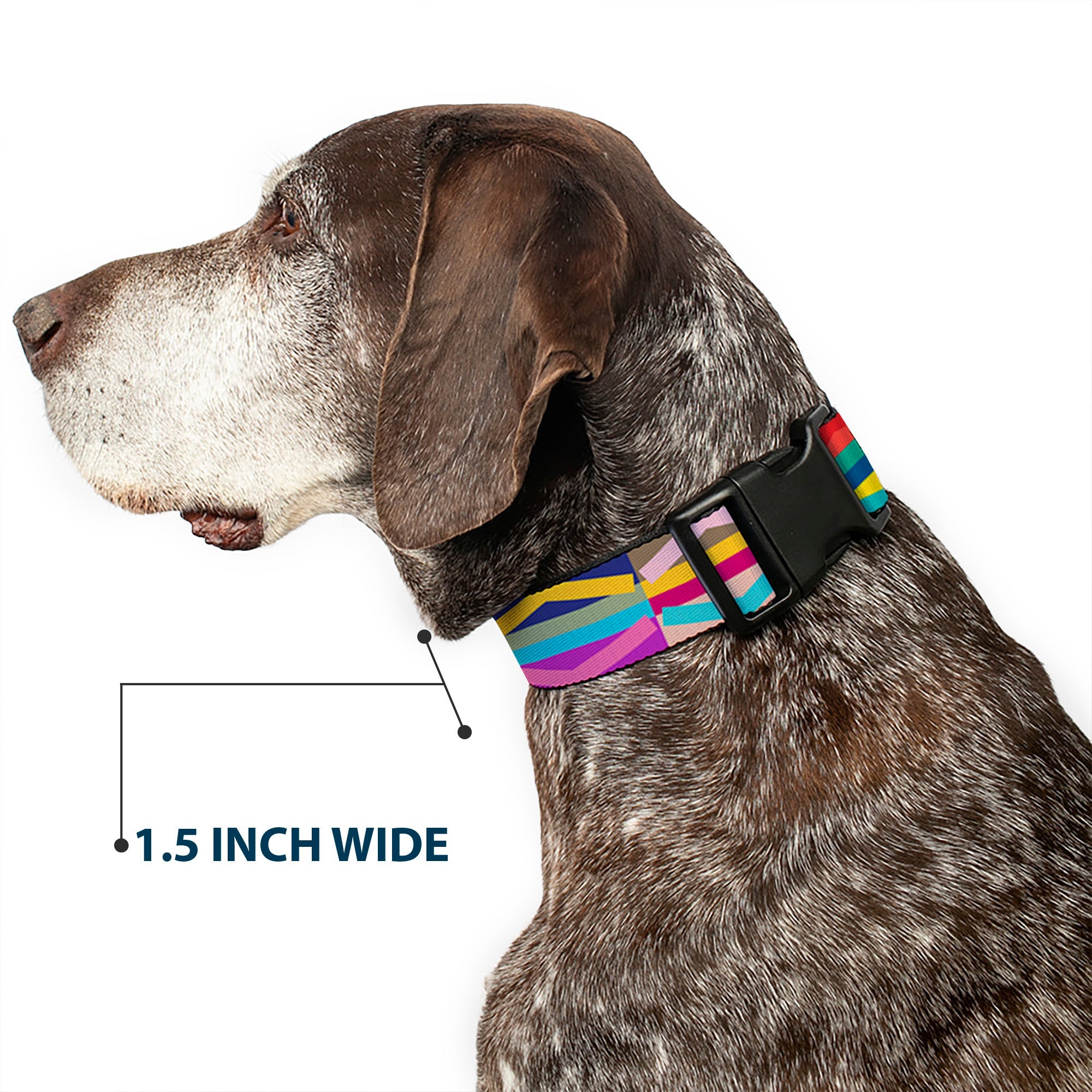 Plastic Clip Collar - Geometric Multi Color