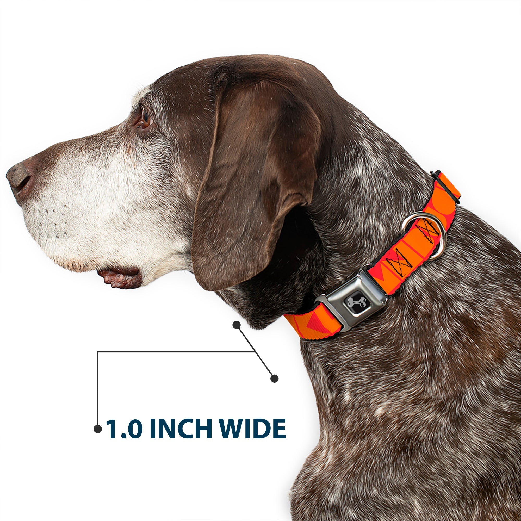 Dog Bone Buckle Collar - BUCKLE-DOWN Shapes Red/Orange