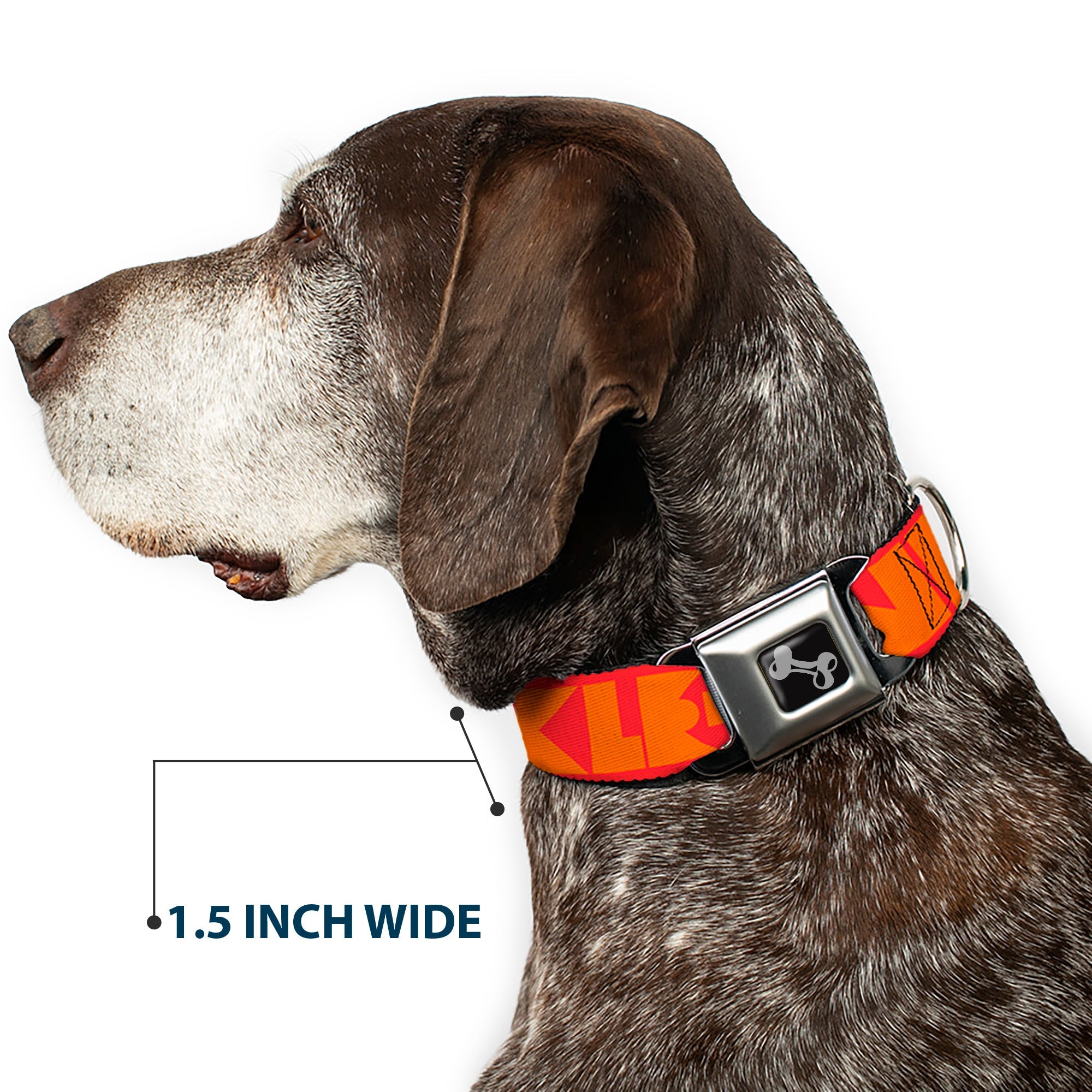 Dog Bone Buckle Collar - BUCKLE-DOWN Shapes Red/Orange